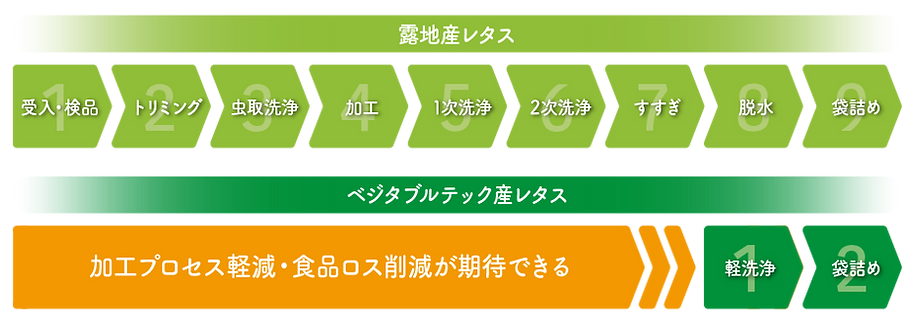 露地産と工場産の比較フローチャート.png
