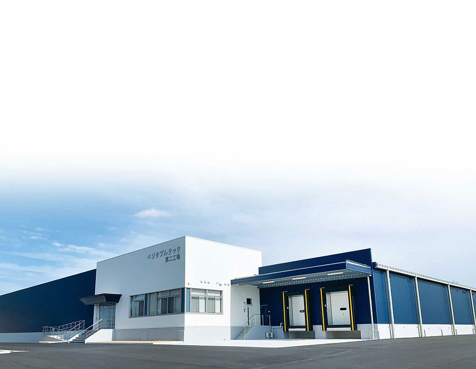 株式会社ベジタブルテック第二工場