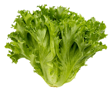 鮮続野菜|フリルレタス