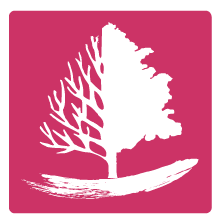 執筆者の写真: Staff