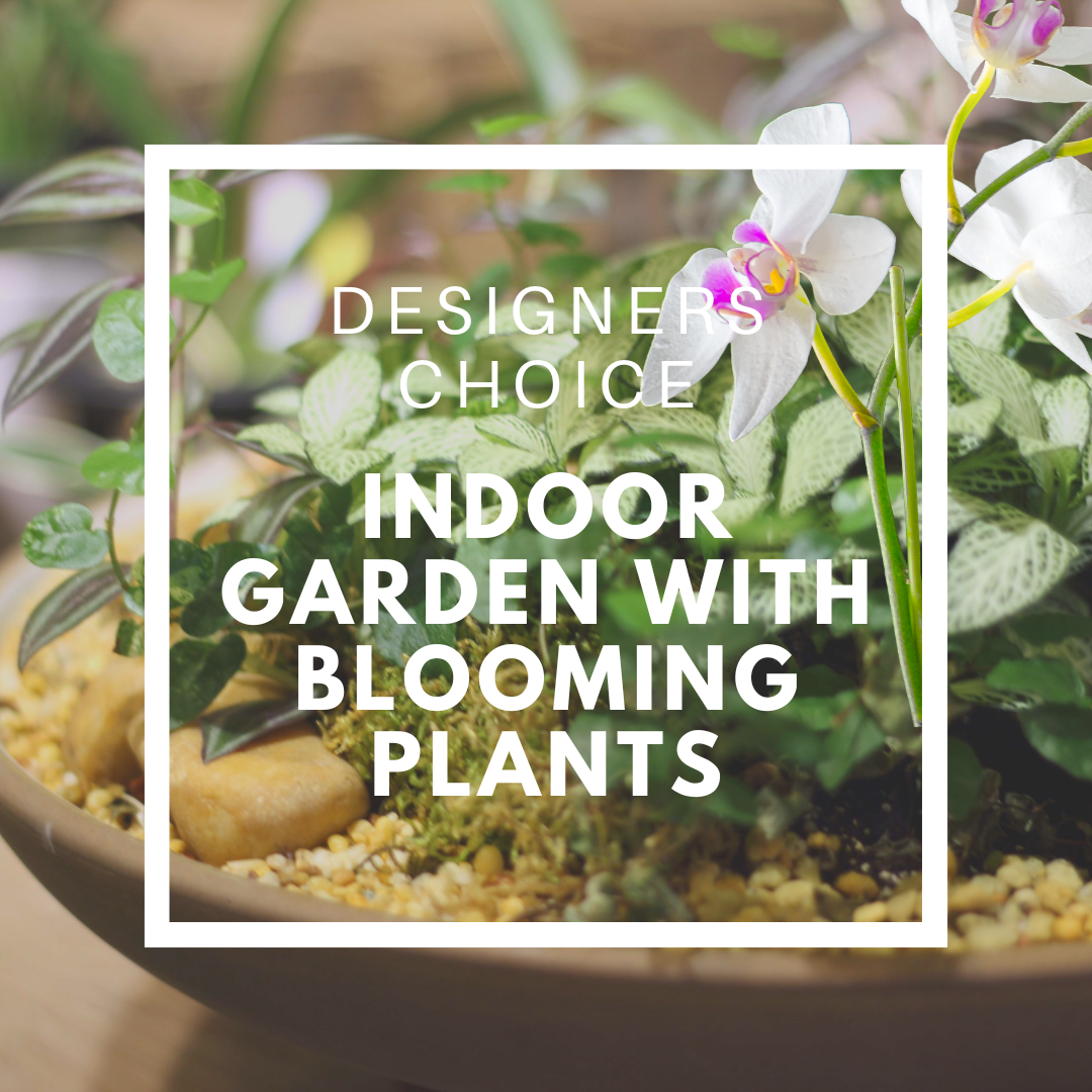 Indoor Garden with Blooming Plants