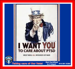 PTA-PTSD AD-2