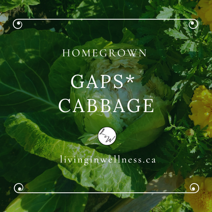 Homegrown GAPS Garden Cabbage