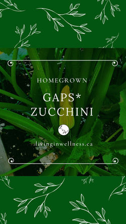 Homegrown GAPS Garden Zucchini