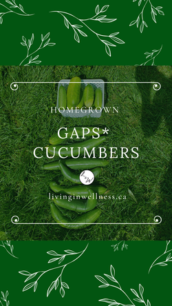 Homegrown GAPS Garden Cucumbers