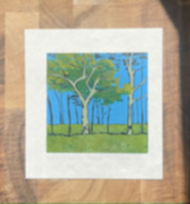 Tree line - Marmande