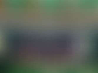 Girls Varsity Volleyball Team Are 'Digging' Their Latest Victory