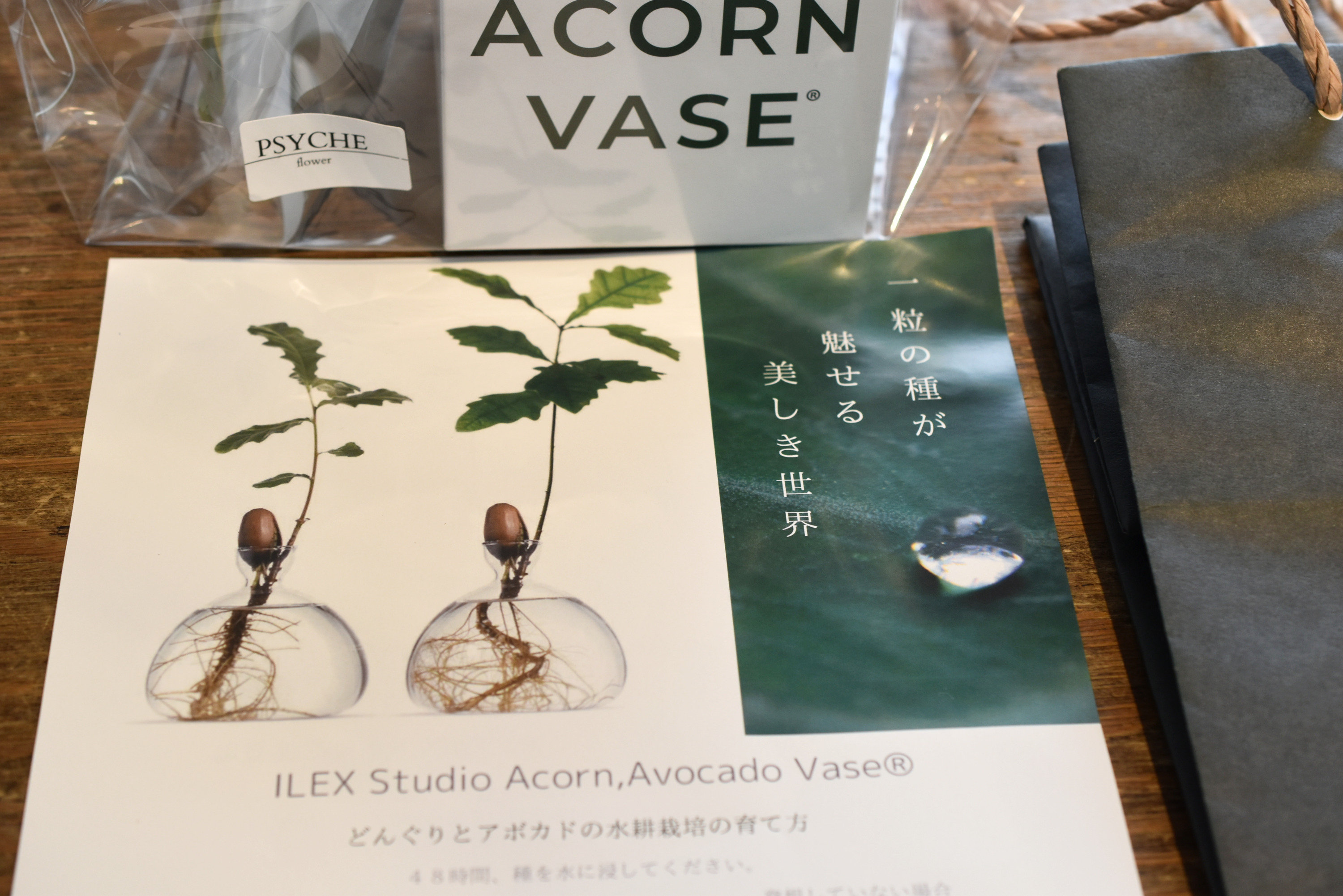 オンライン販売 アイレックススタジオ Ilex Studio Acornvase どんぐり 水耕栽培 ベース Studio Psyche オンライン販売 アイレックススタジオ Ilex Studio Acornvase どんぐり 水耕栽培 ベース Studio Psyche