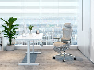 Modern office with white desk, ergonomic chair, computer, plant, and bookshelf. Large windows with city view create a bright atmosphere.