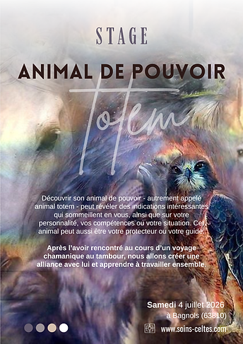 Stages été 2026 animaux.png