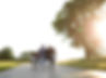 FamilyEncountersBarnagraphic-2.jpg