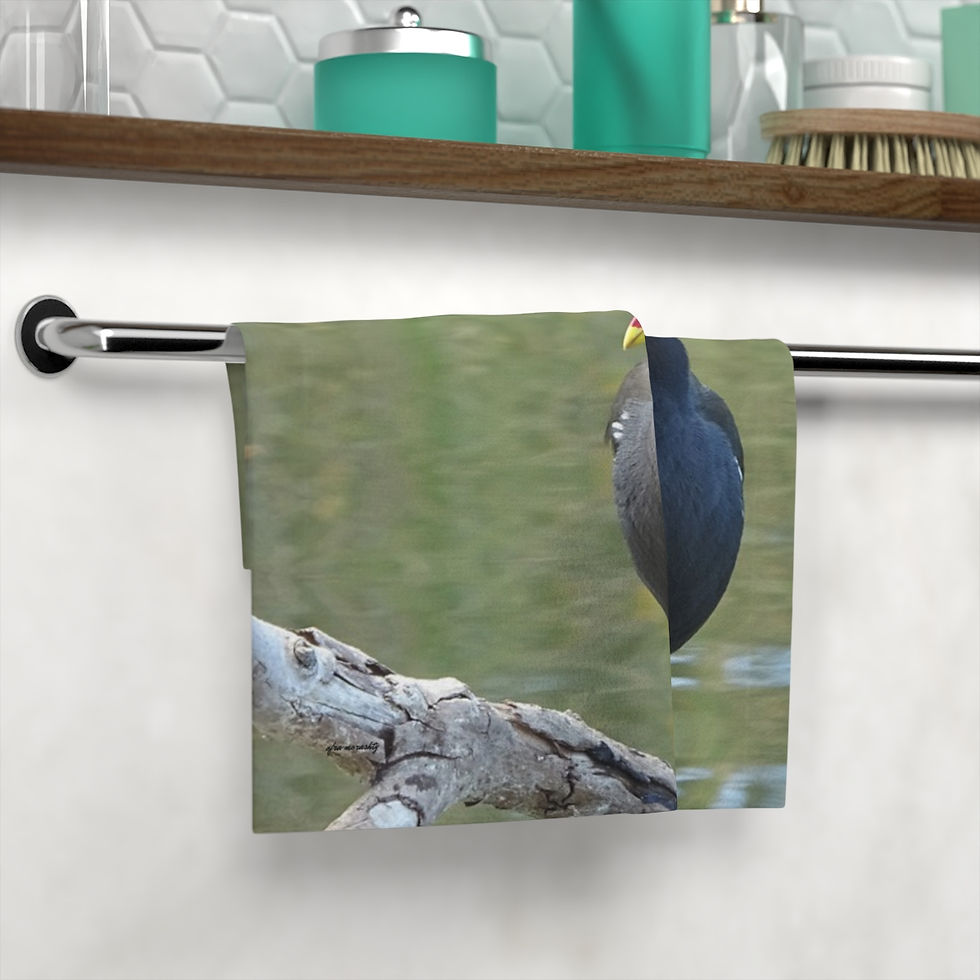Thumbnail: Stylish Face Towel for Bird Lovers: Common Moorhen Photo Design