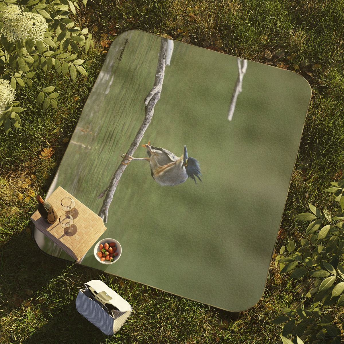 Embrace Nature: Beach Blanket for Picnics and More, with Striated Heron photo