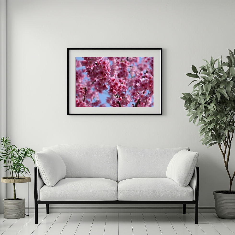 Thumbnail: Taiwan Cherry Blossom Picture Poster Wall Art, Gifts for Best Friends Birthday