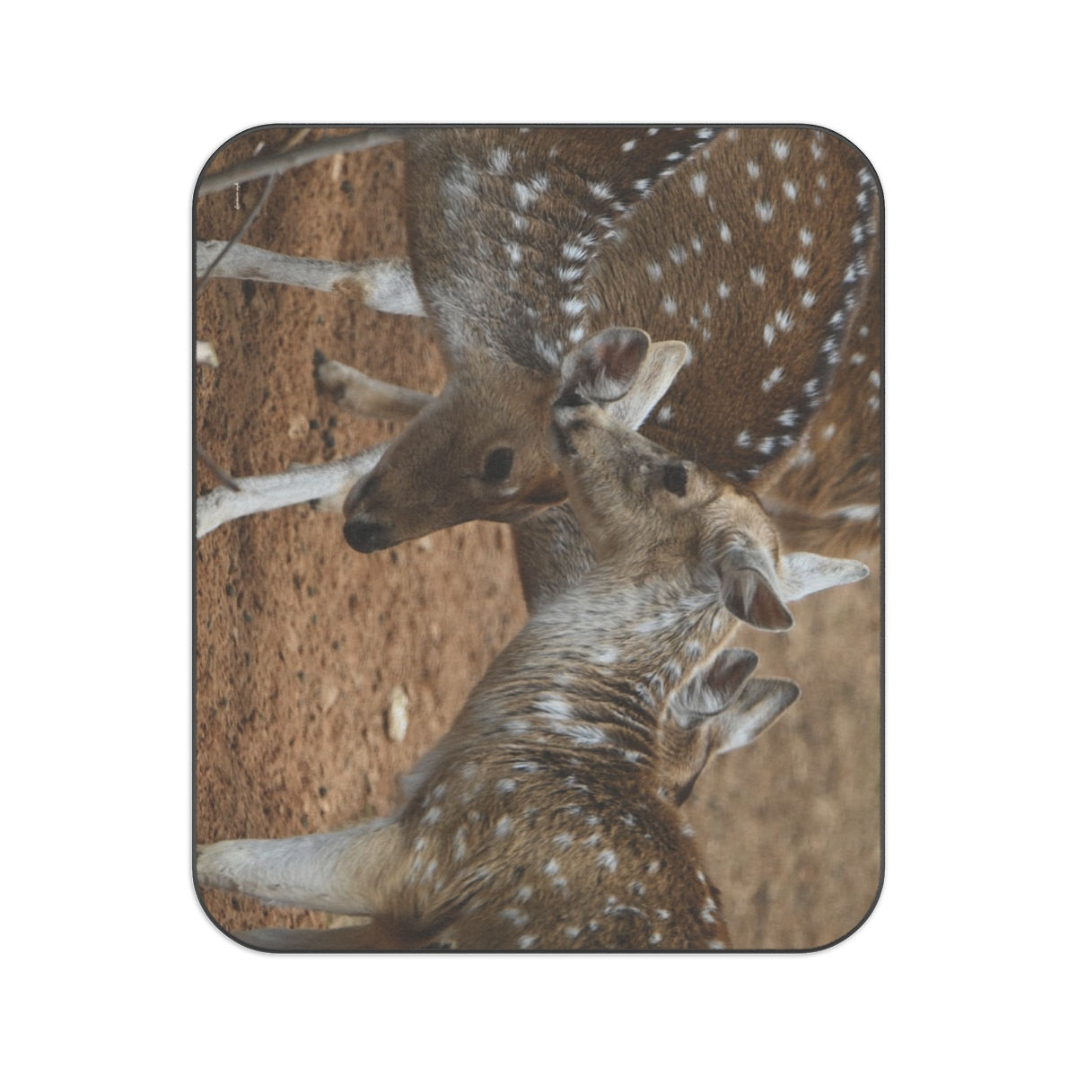 Perfect Stylish Picnic & Beach Blanket for Nature Lovers with Axis Deers Photo