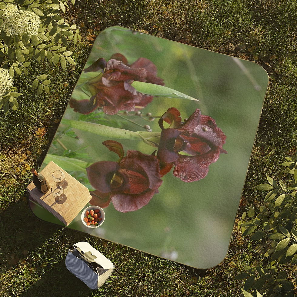 Thumbnail: Iris Flowers Picnic Blankets: Perfect for Camping, beach, Travel & Concerts