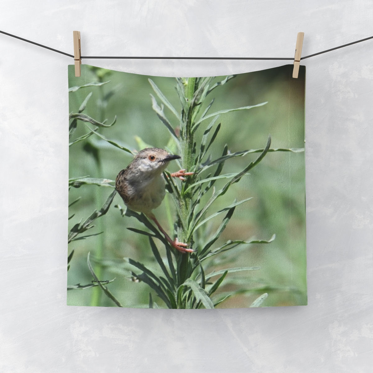 Graceful Prinia Bird Face Towels for a Refreshing and Natural Experience