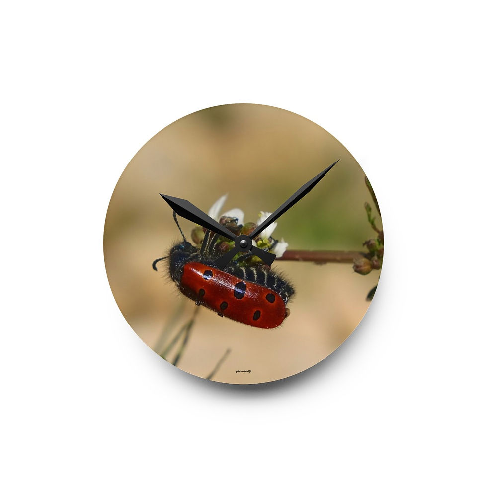 Thumbnail: Stylish Acrylic Wall Clock: A Perfect Kitchen Décor with Beetle on Flower Photo