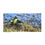 Thumbnail: Beach Towel with Parrot Taking Bath Real Photo: Parrot Lover Present, Bird Photo