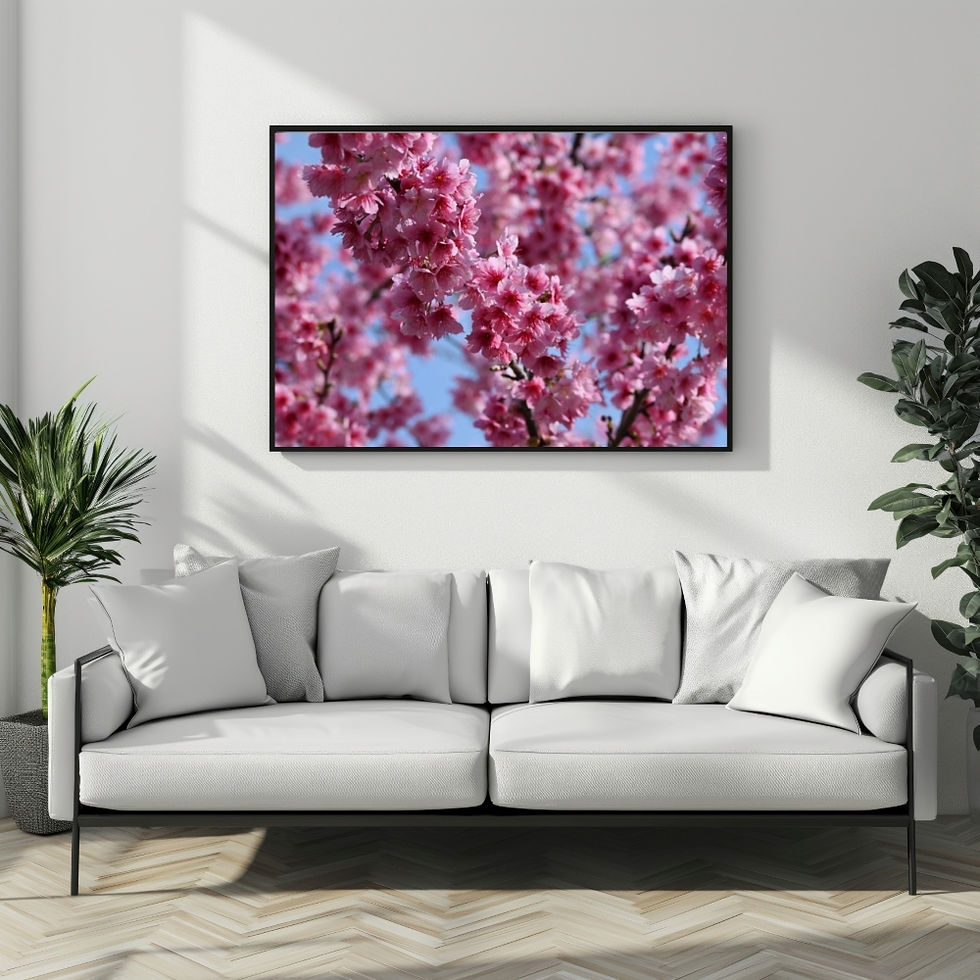 Thumbnail: Taiwan Cherry Blossom Picture Poster Wall Art, Gifts for Best Friends Birthday