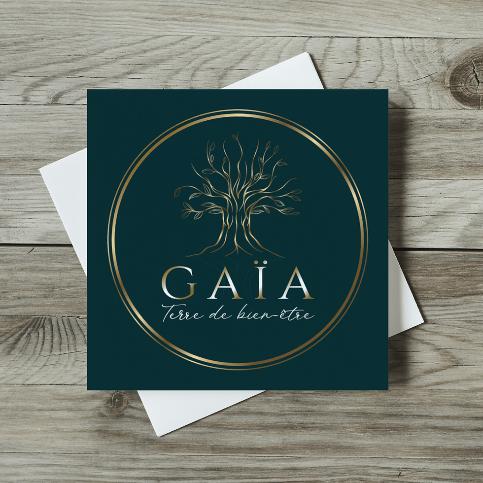 création logo pau, creation logo pau, creation site internet pau, creation site web pau, webmaster p