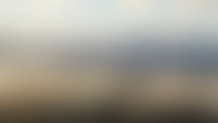 Comment la création d'un site internet peut dynamiser votre entreprise locale dans le Béarn