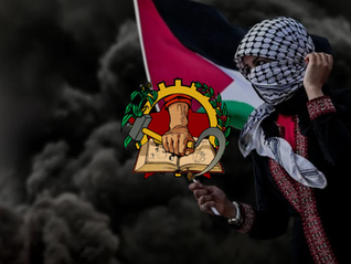 Nota Política: "Qual o Efeito da Solidariedade ao Povo Palestino?"