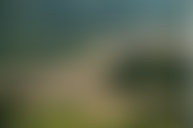 La storia di mia nonna Adalgisa: un'italiana a Istanbul