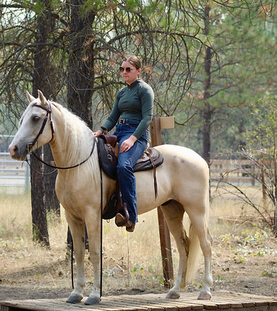 14.2HH | 9 Year Old