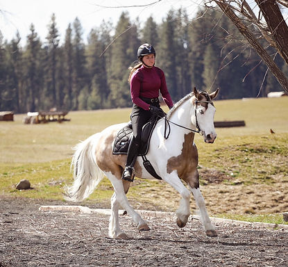 15.1HH | 6 Year OldĀ