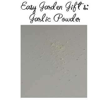 DIY garlic powder is an excellent gift any time of year! Start with homegrown or store bought garlic and end with a delicious batch of garlic powder goodness!