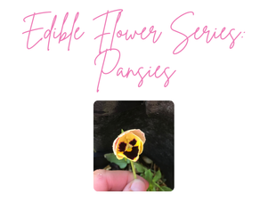 Grow Pansies For Edible Flowers And Limited Maintenance This Year