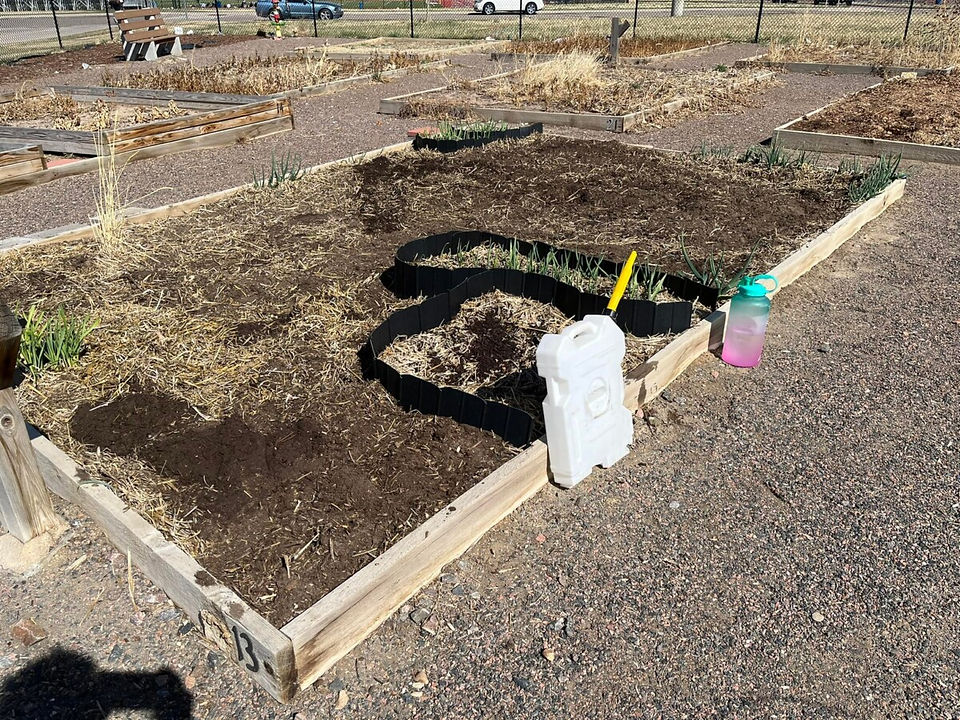 A garden plot is uncovered and ready for the new season