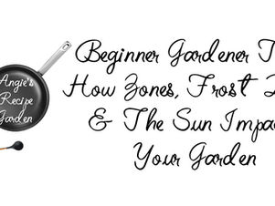 Easy Beginner Gardening Tips You Can Use Now