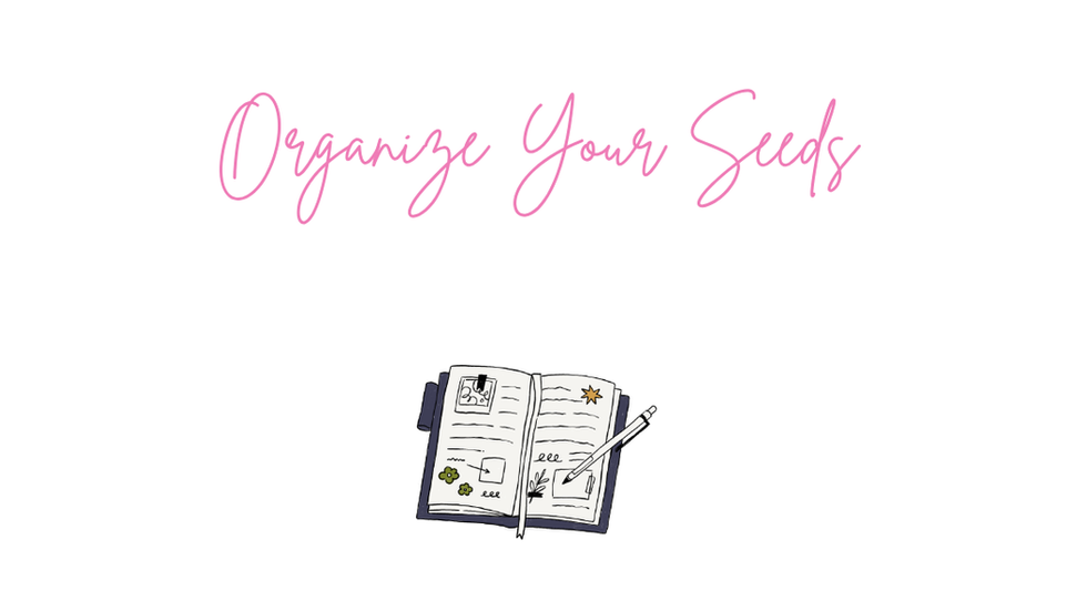 It Looks Like A Perfect Time To Organize Your Seeds This Year