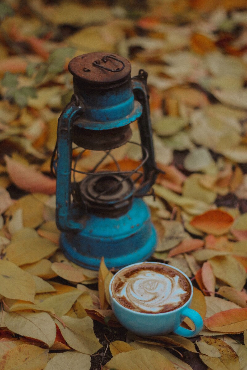 In this ultimate guide to the pumpkin spiced latte series, you will learn how to make the best pumpkin spiced syrup. Use the syrup to make your own custom PSL!