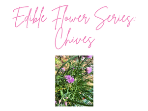 Make Your Garden Interesting By Adding Edible Flowers Like Chives