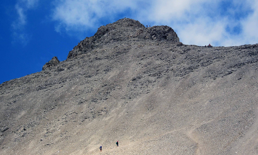 Le mont Pelat en été