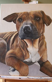 Bella - pet portrait commission image