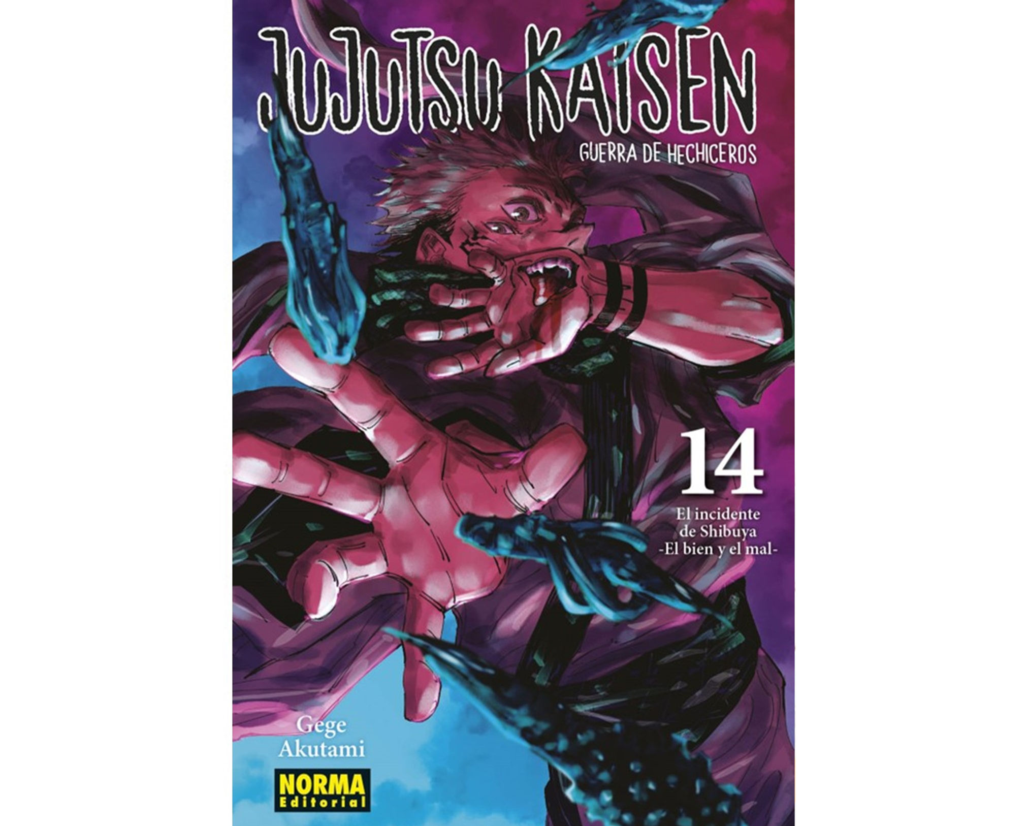 Jujutsu Kaisen 14 (14 de 19)
