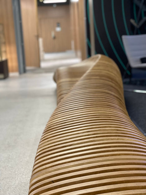 Параметрическая_скамья_длинная_выставка_астана_Parametric_bench_EXPO_2017_FL1.266_parametric_furniture_for_malls_(28).JPEG