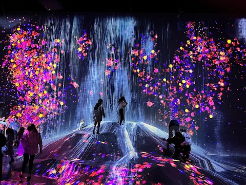 teamLab Borderless