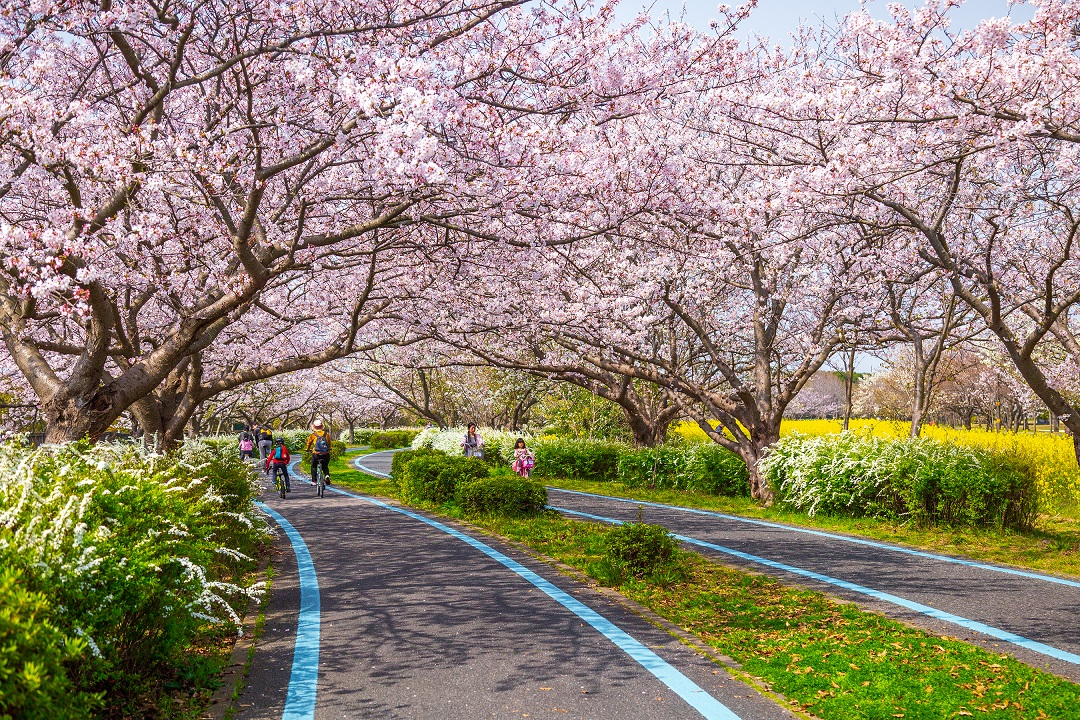 海之中道海濱公園