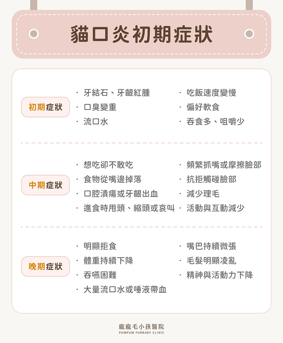 貓口炎初期症狀