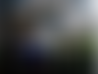 BEM DE FAMÍLIA VOLUNTÁRIO - AFETAÇÃO DE PATRIMÔNIO E NÃO FORMA DE ALIENAÇÃO