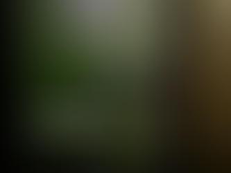 Adjudicação Compulsória Extrajudicial