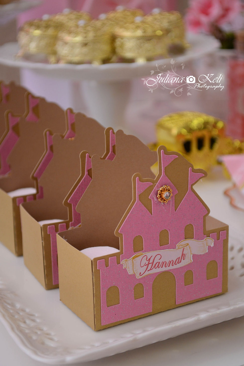 South Florida Events Photographer {Hannah's 1st Birthday Party}