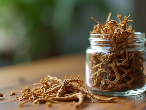 Three Powerful Herbs for Anxiety and Depression: Benefits of Holy Basil, Ashwagandha, and Valerian Root