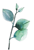 leaf symbolizes growth and healing from trauma