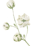 Blooming flower symbolizing growth and meaningful change through an approach integrating neuroscience, emotional intelligence, assessments, and role modeling.